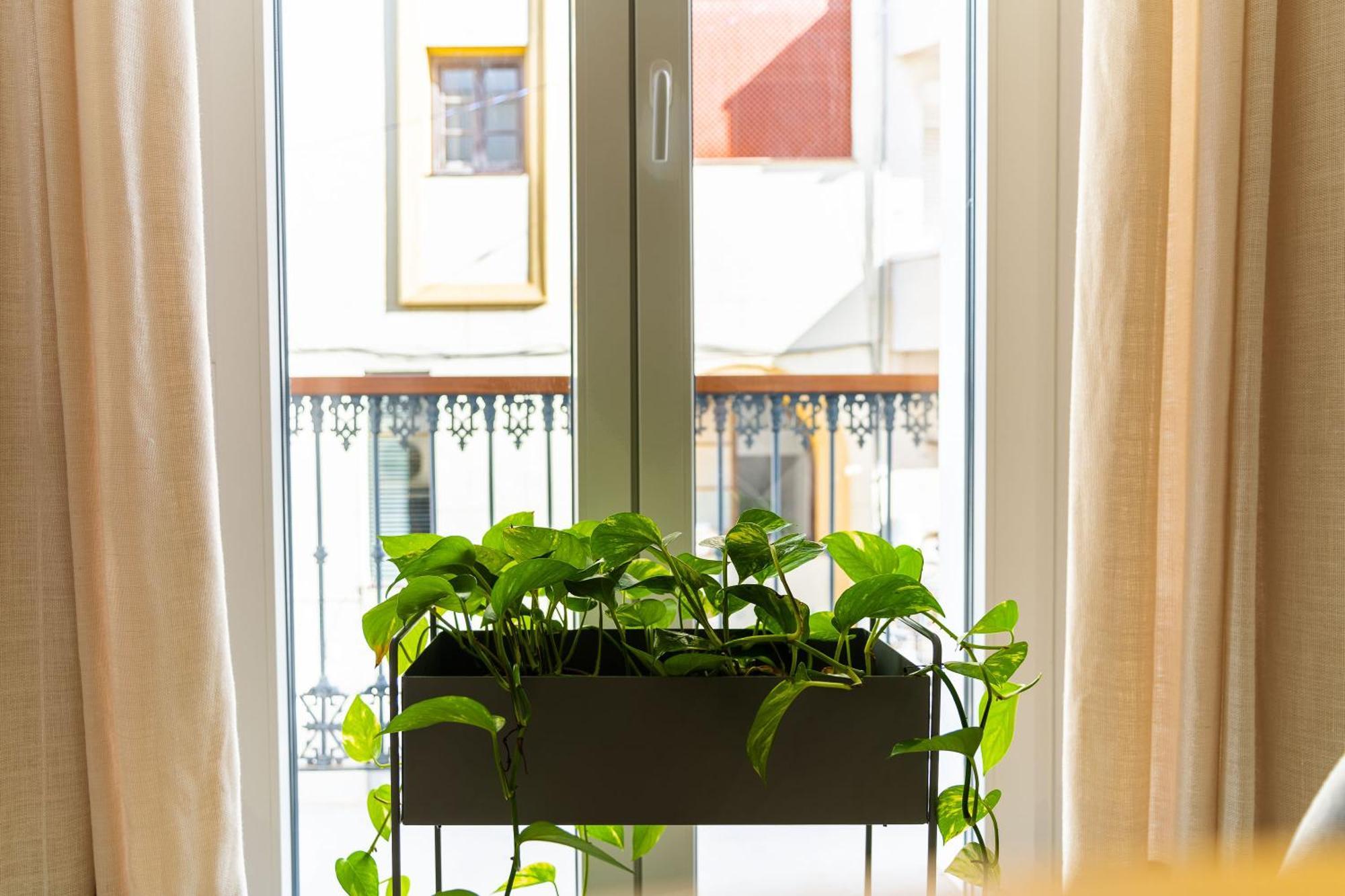Casa De La Vega Suites 치클라나 데 라 프론테라 외부 사진